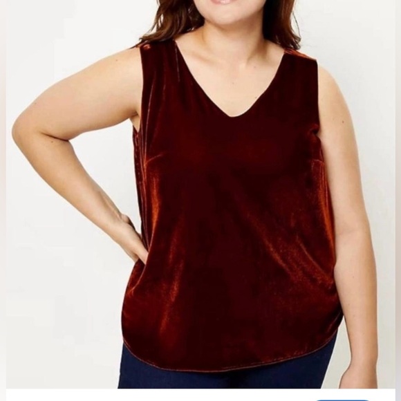 Loft NWT SZ Large Burnt Orange Velvety Tank - Picture 1 of 7